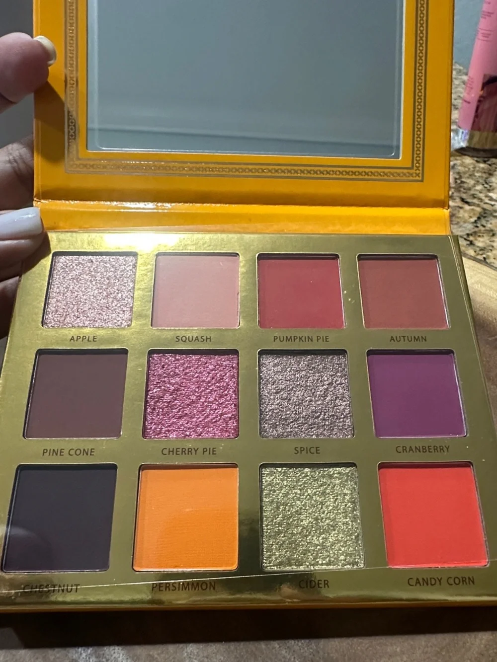 Ace Beauté Falling for you Eyeshadow Palette